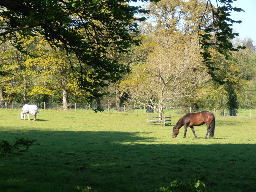 Riversdale Farm B&B Ballinamore Ngoại thất bức ảnh